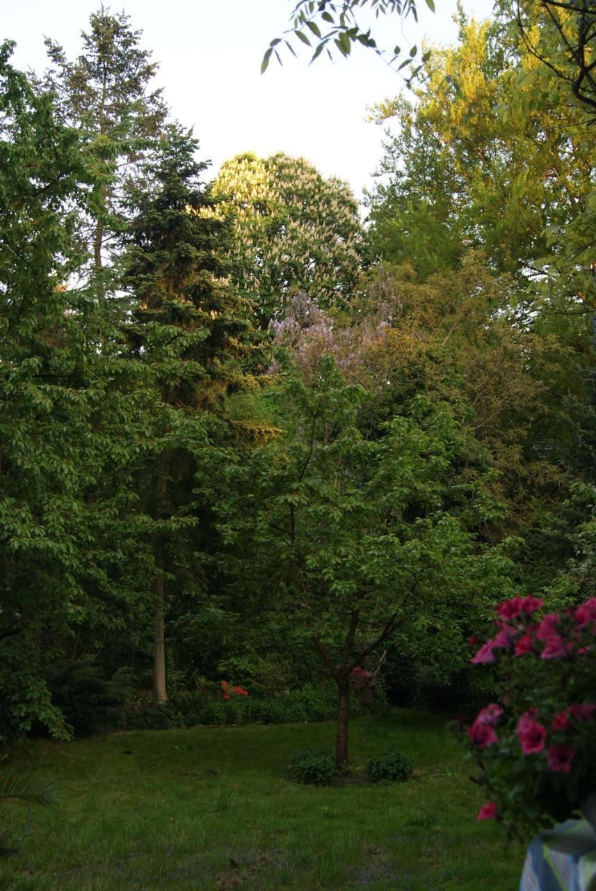 "Am Griebnitzsee" 14482 Potsdam-Babelsberg Ngoại thất bức ảnh